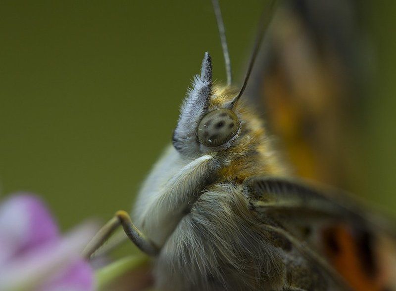 Мгновения летаphoto preview