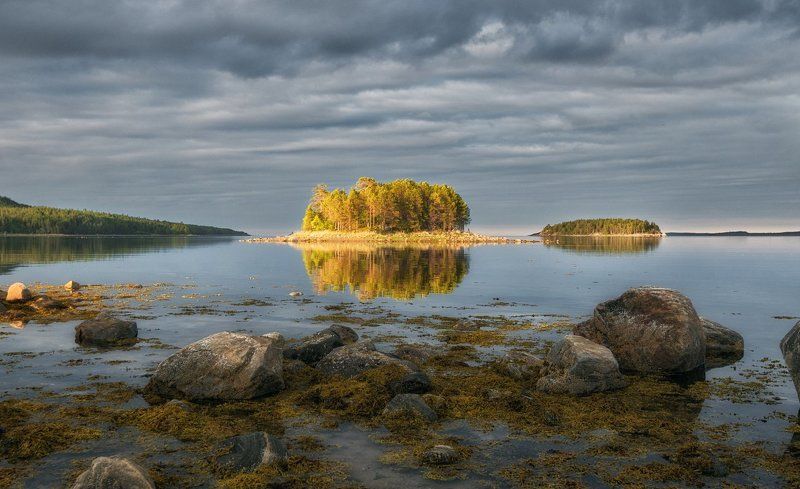 Белое море, Кандалакшский заповедник, Мурманская область Кандалакшский заповедник.photo preview