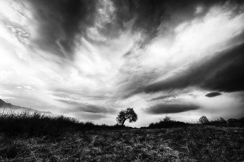 Alonephoto preview