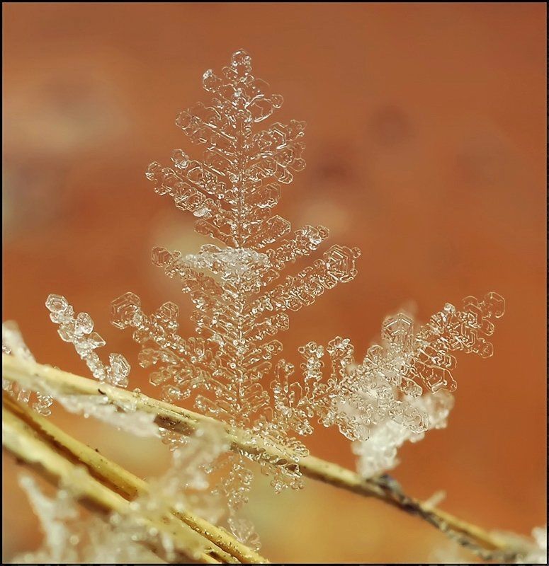 Я снежинка...photo preview