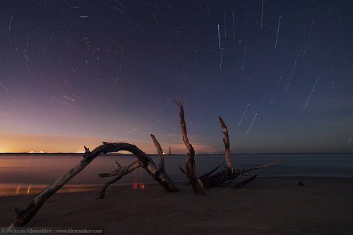 Ночью деревья оживают...