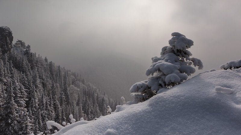 Тихо падал снег...photo preview