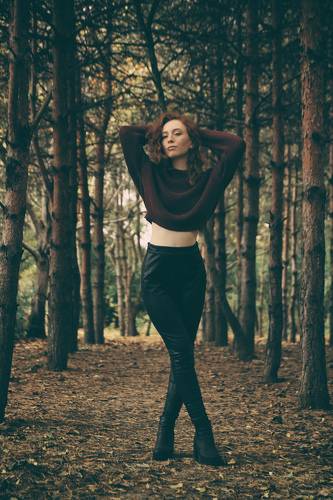 Forest