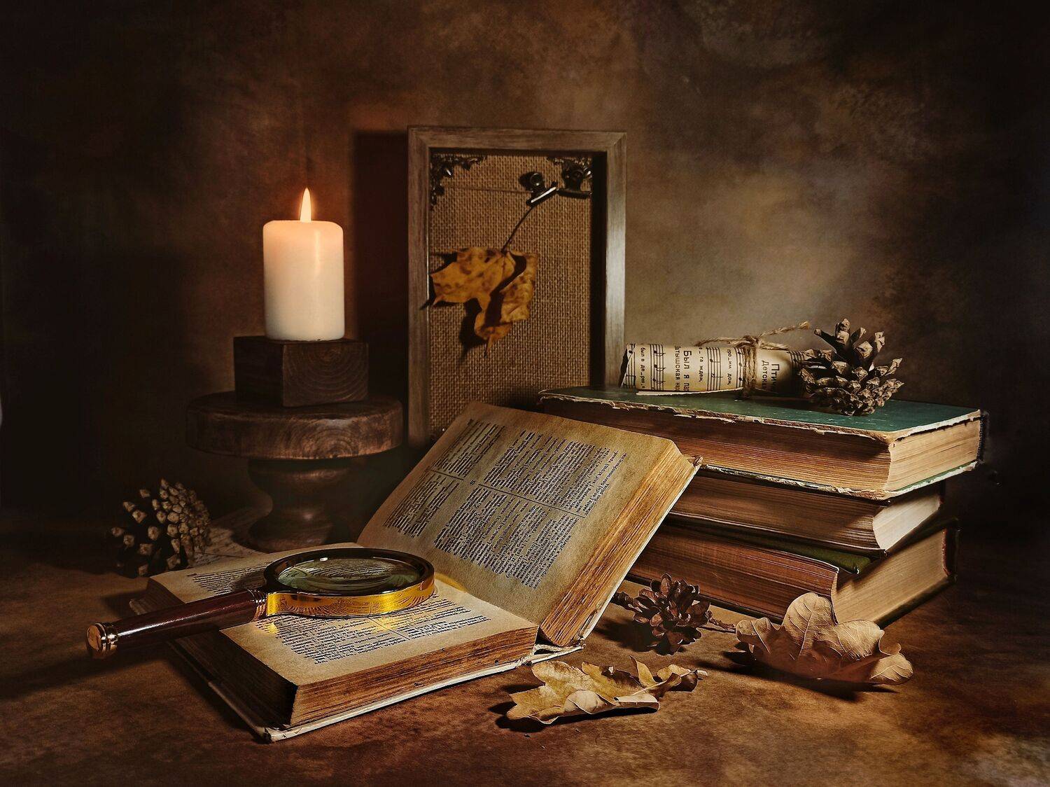 , Дина Полухина