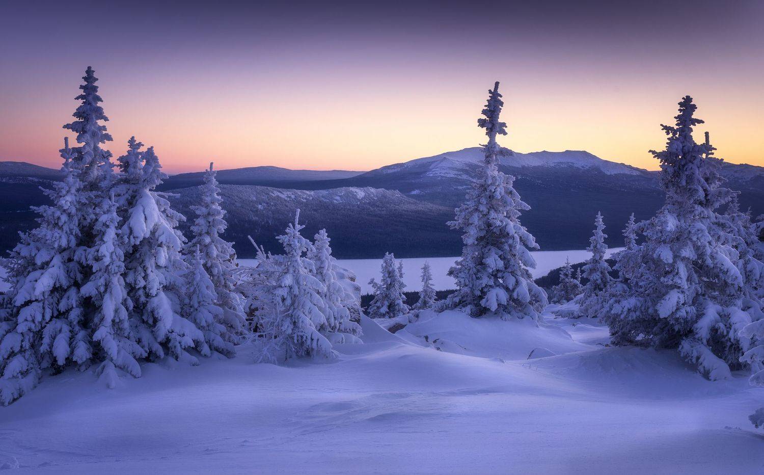 , Татьяна Бирюкова