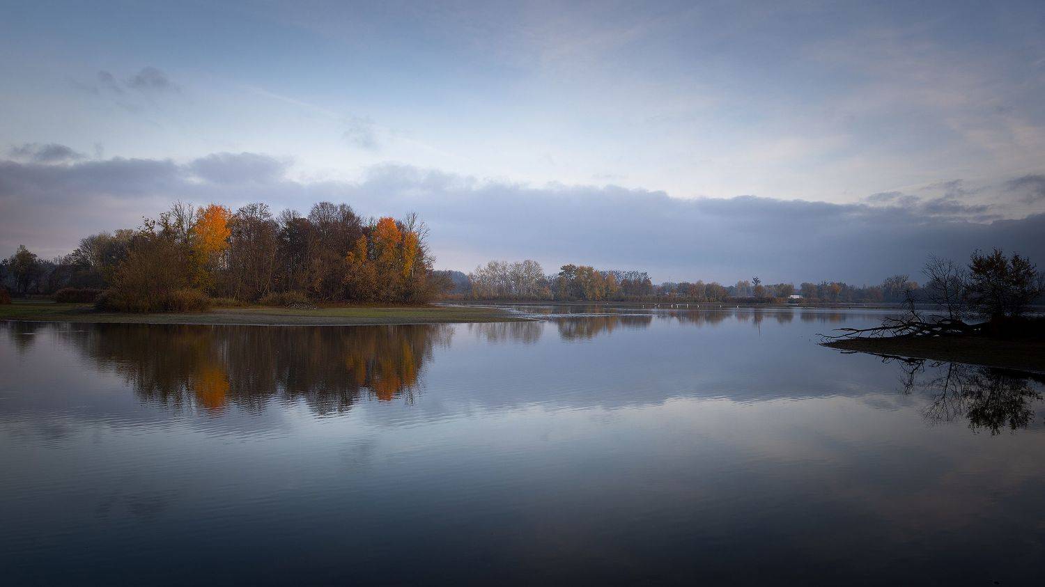 , Robert Adamec