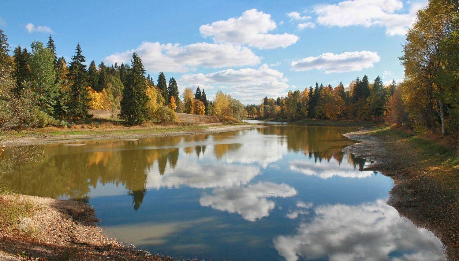 осень , озеро , лес, Александр Свистков
