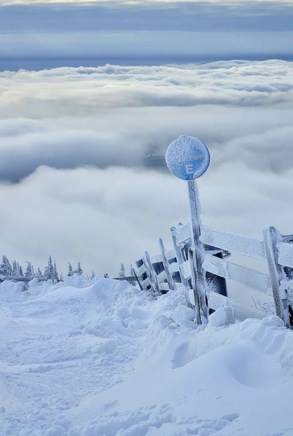 Сектор Е. Автор: Александр Кузовков , Александр Кузовков