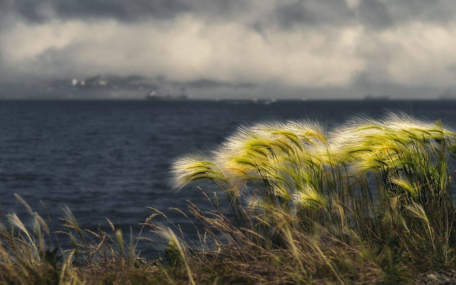 , Олег Дунаев