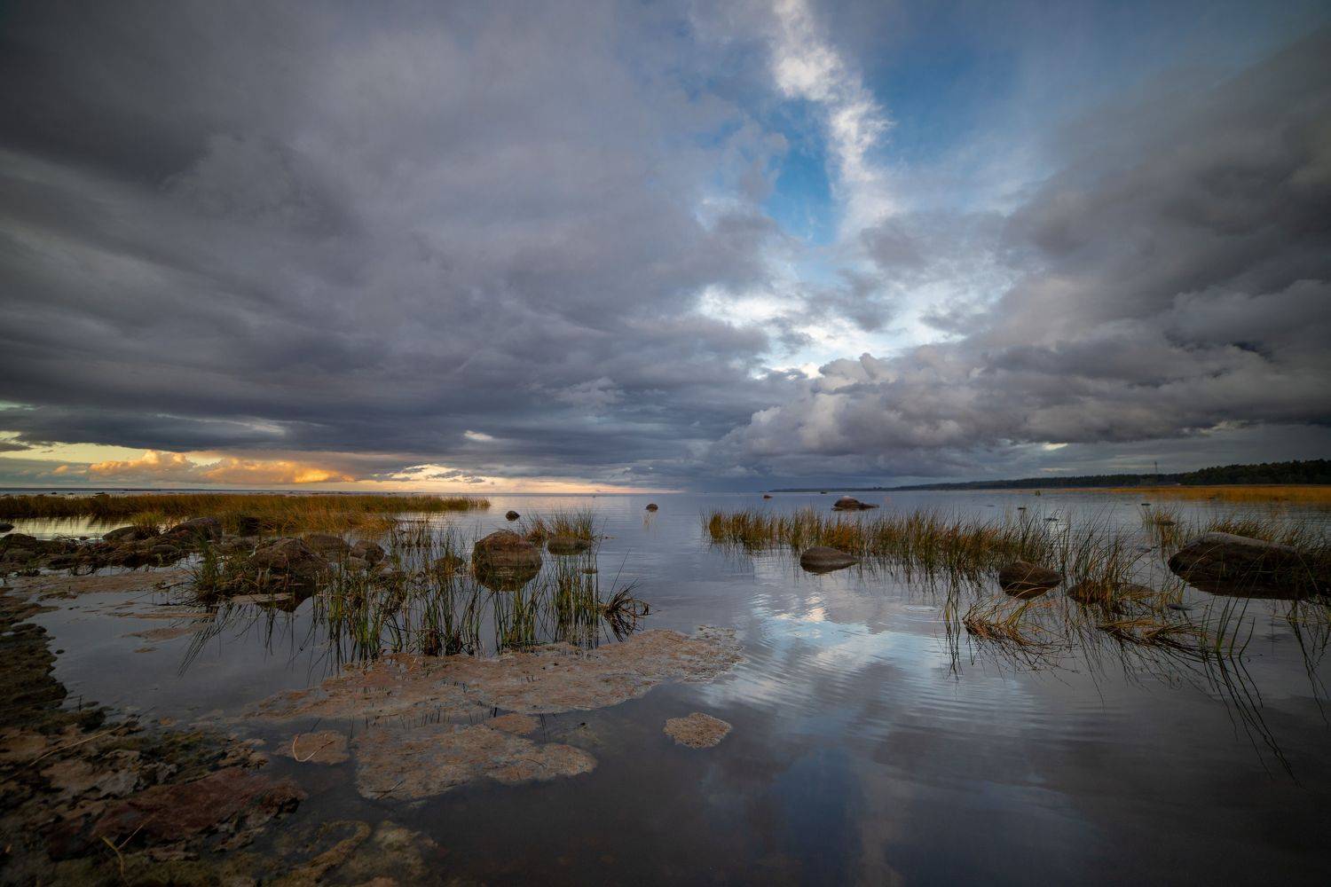 , Герасимова Елена