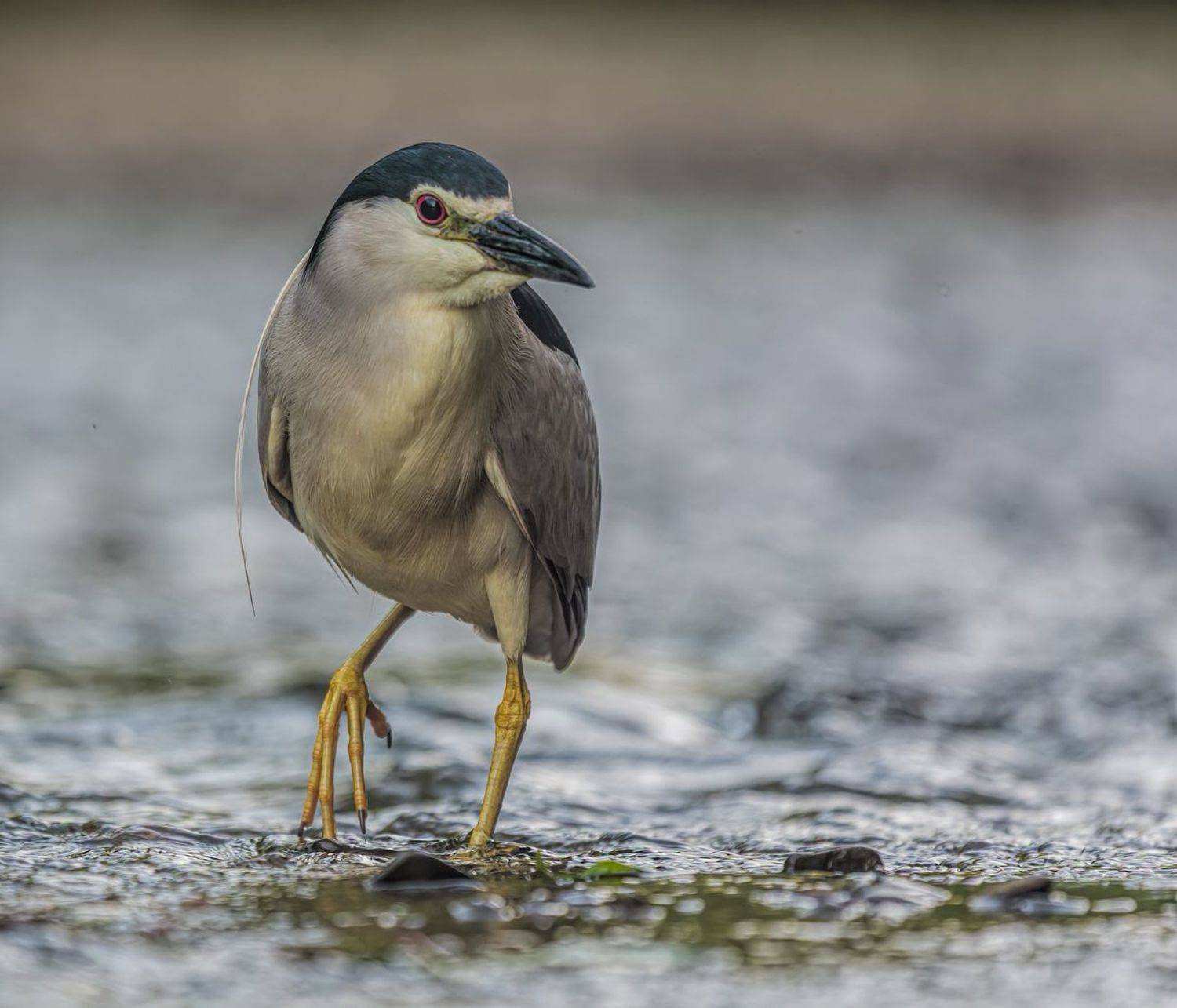 , Sławek Przybylski