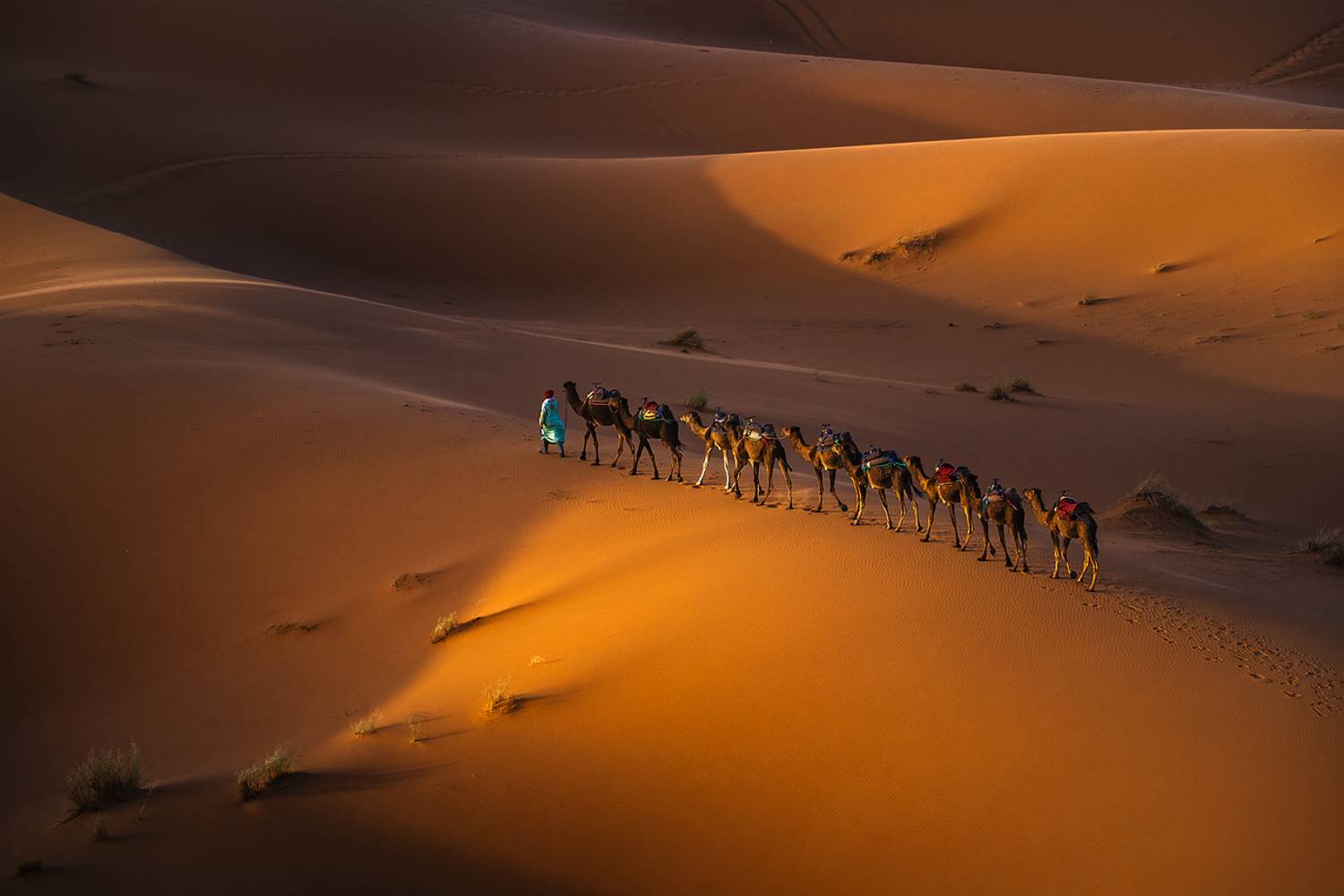 landscape nature scenery spring desert sahara sand berber bedouin sunrise morning пейзаж рассвет пустыня, Александър Александров