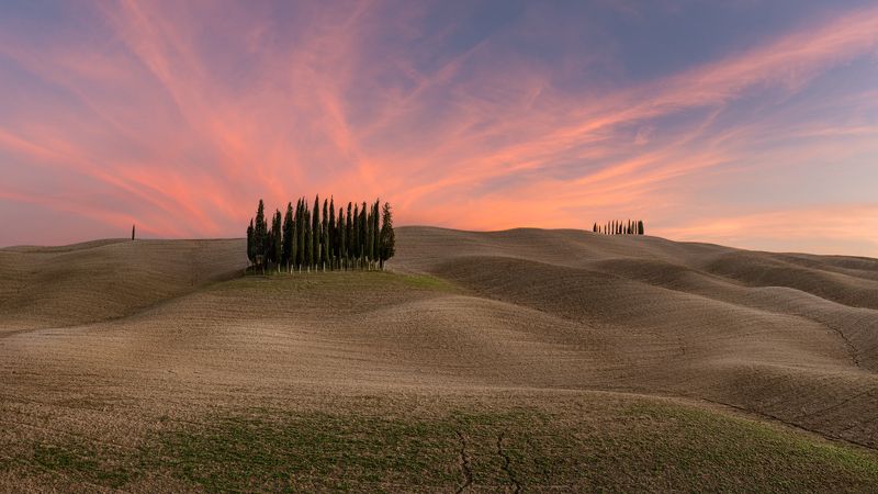 тоскана, италия Кипарисыphoto preview
