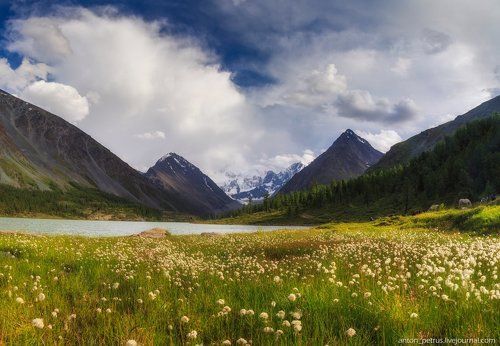 После грозы