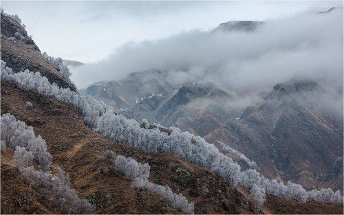 Серебро Кавказа.