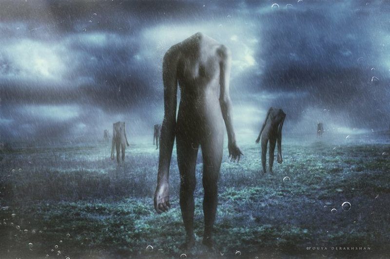 .......photo preview