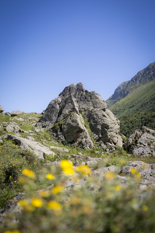 Страж болота Чифандзарphoto preview