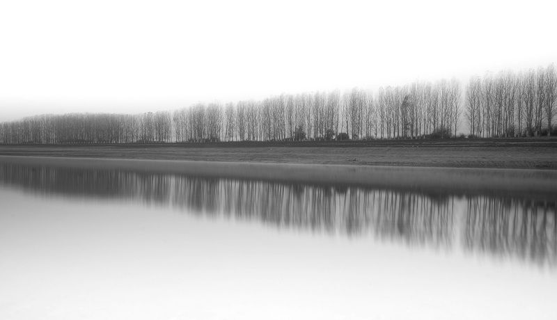 Black and white, Landscape, Nature, Trees Reflectionphoto preview