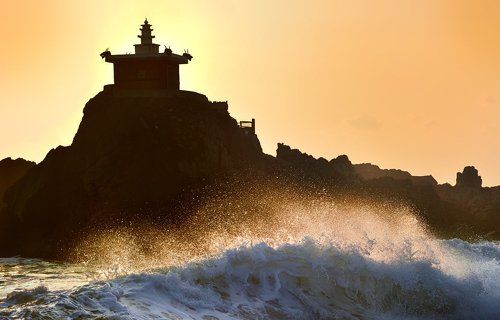 Morning of the temple