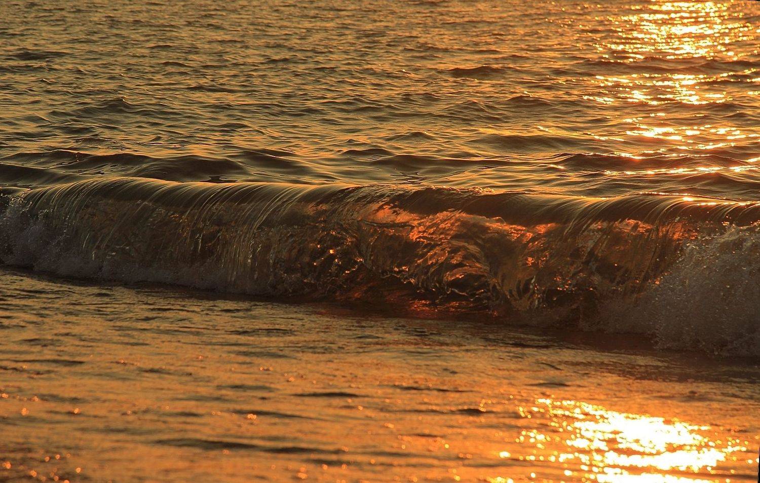 Надо жить у моря, мама... Автор: Лайко Марина , Лайко Марина