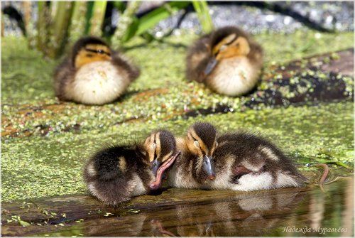 Всем - спать!