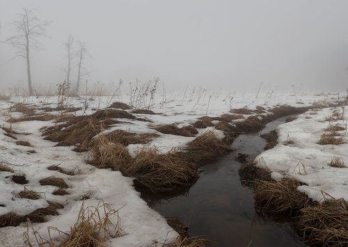 В Царском Селе