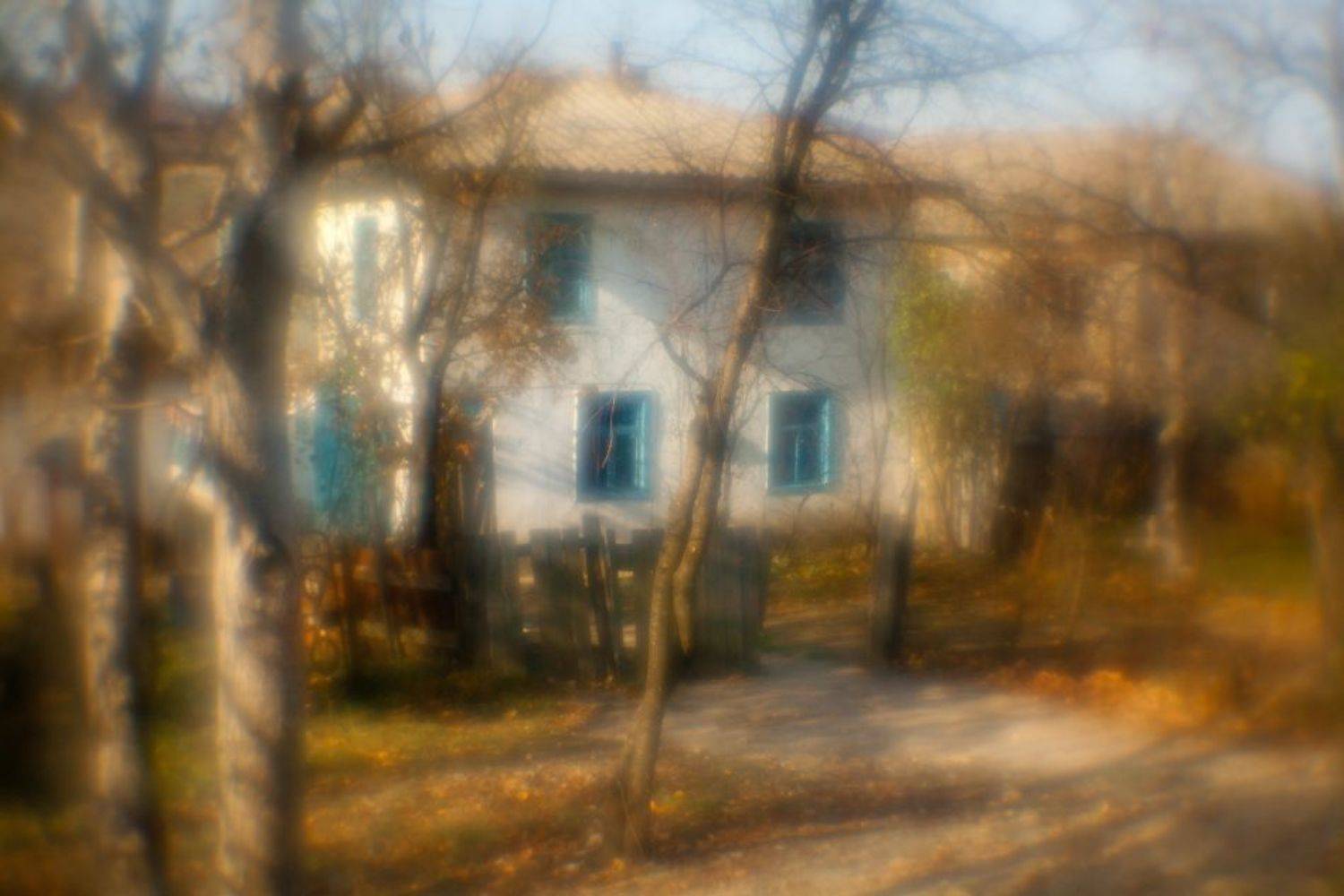 цвет ноября. Автор: Андрей Гусаченко , Андрей Гусаченко