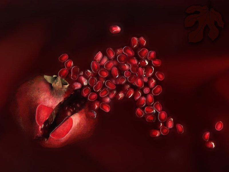 гранат, сканограмма photo preview