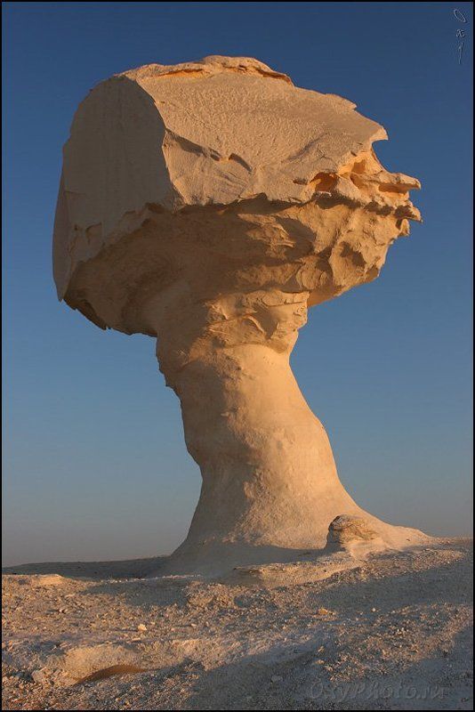 africa, egypt, libyan desert, sahara, western desert, white desert, африка, белая пустыня, египет, западная пустыня, ливийская пустыня, сахара, Изваяние Белой  Пустыни...photo preview