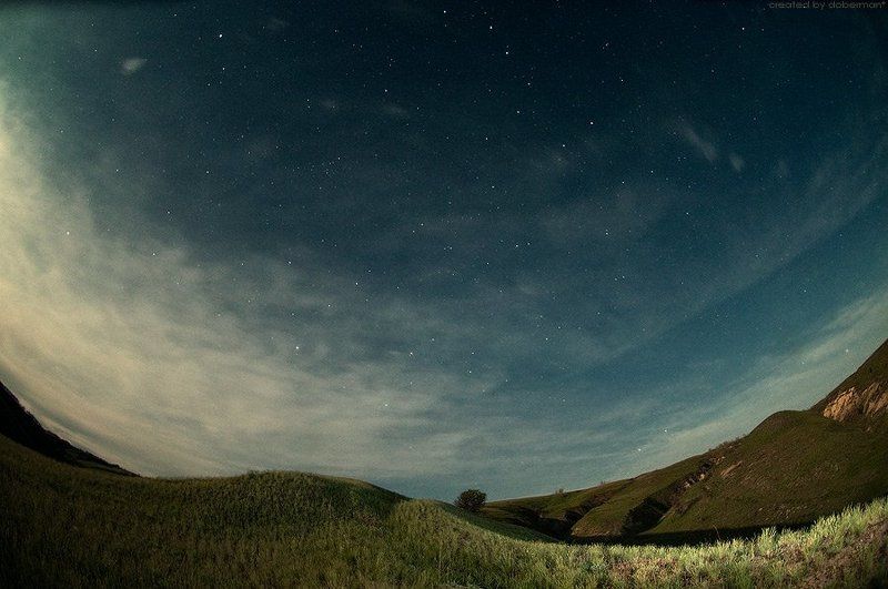 Звёздный деньphoto preview