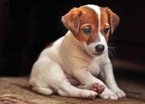 My dear Frend sit on the floor