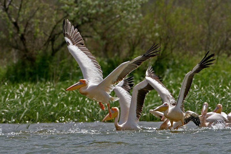 Лестница в небоphoto preview