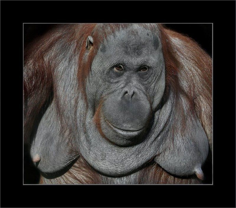 Топлесphoto preview