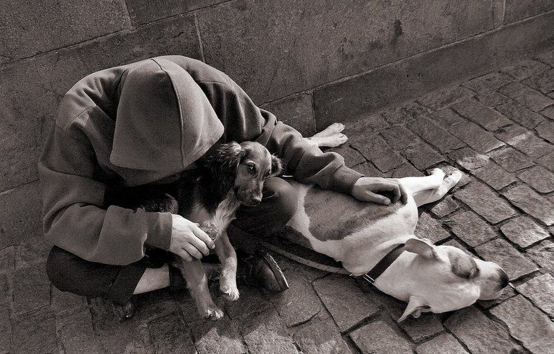 Про взглядphoto preview