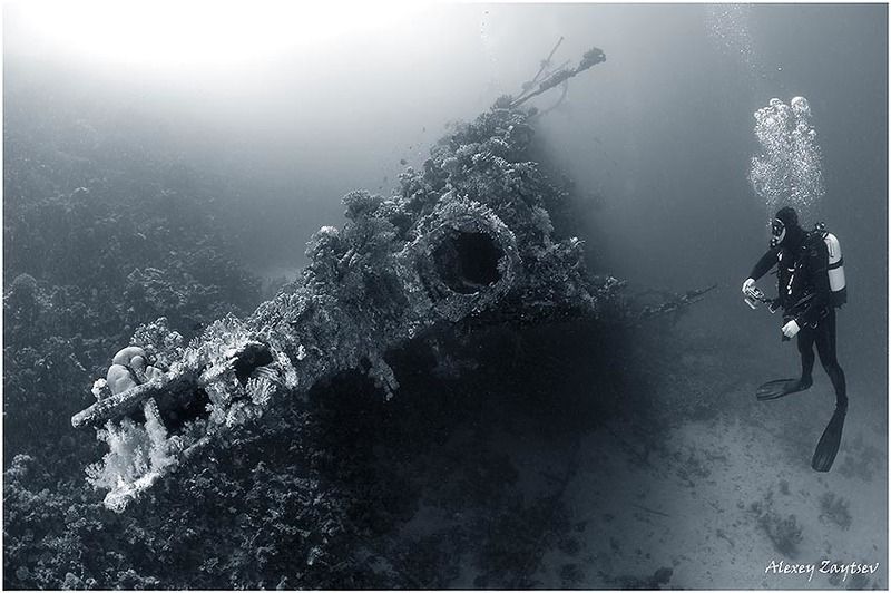 зайцев, обучение, подводной, фотографии, , красное, море, рэк Карнатик. Носовая часть.photo preview