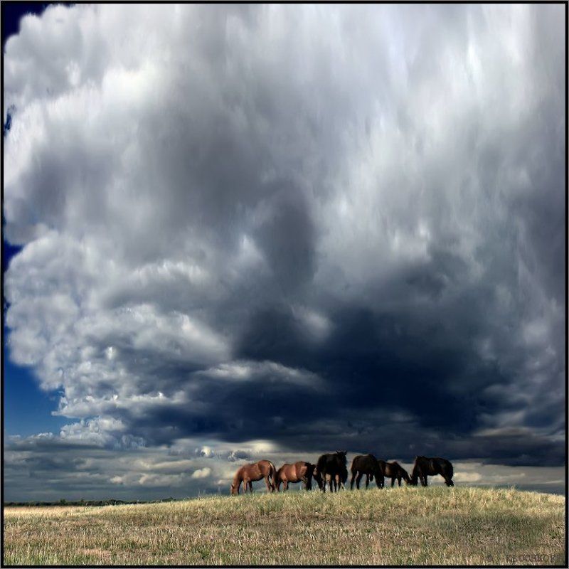 хакасия ЩУПАЛЬЦЫ  БУРИphoto preview