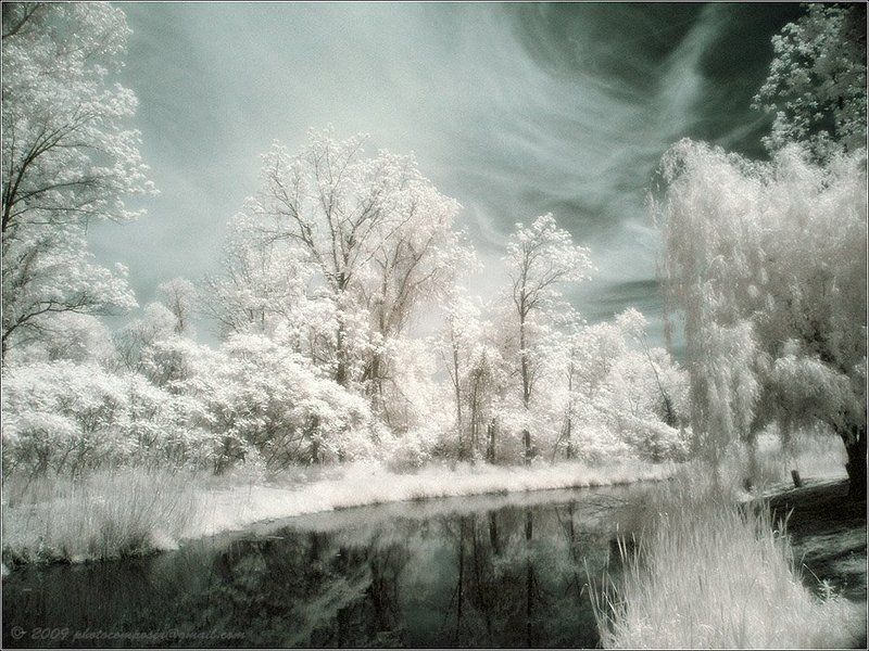 Spring in whitephoto preview