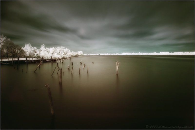 Silent Warriors....photo preview