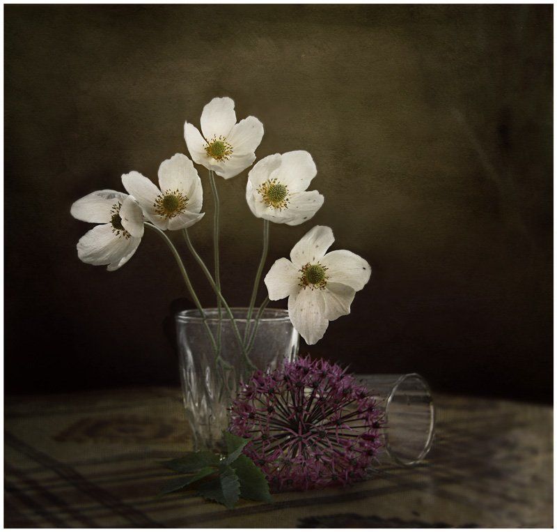 Дачный натюрмортphoto preview