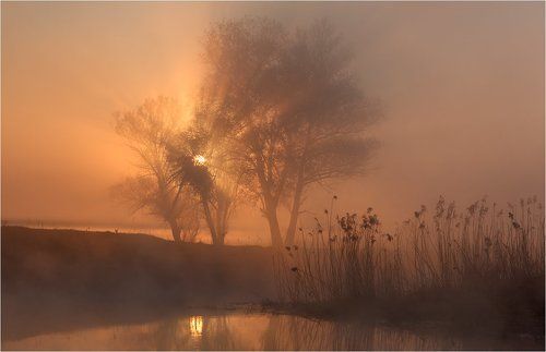 Сold morning.