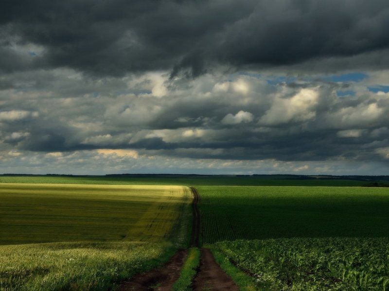 Грозовая дорогаphoto preview