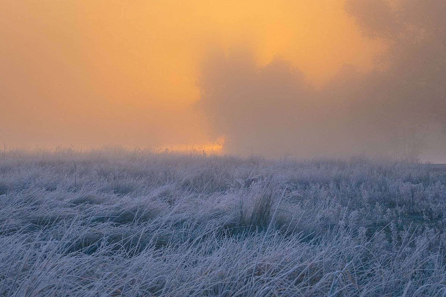 осколки прошлой осени. Автор: Stas Muhin , Stas Muhin