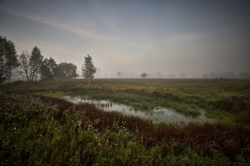 Седое утро сентябряphoto preview