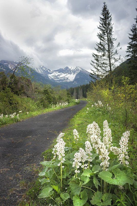 Словакия, Татры Словакияphoto preview