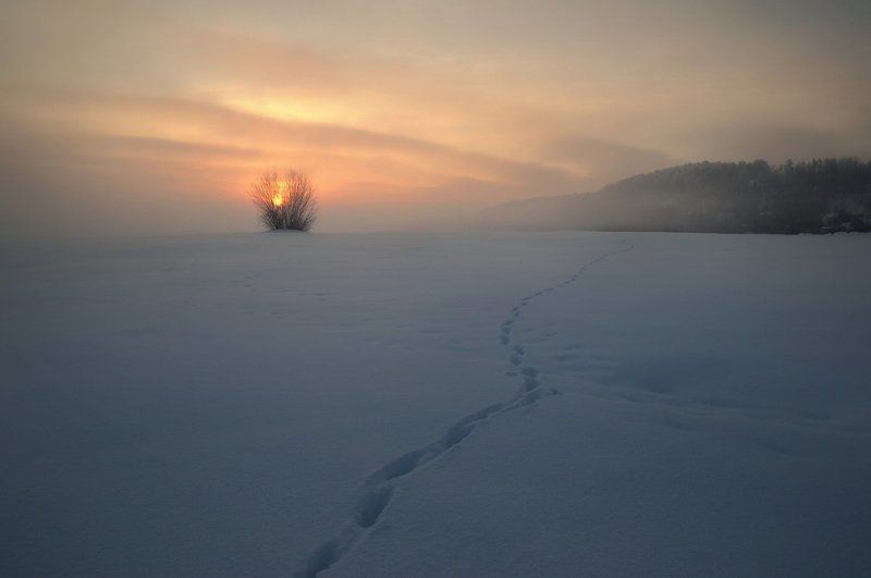 В рассветphoto preview