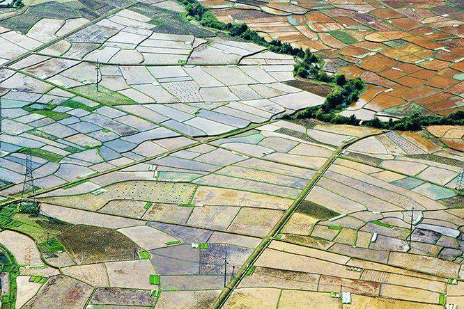 Автор: Dang Thanh Son , Dang Thanh Son