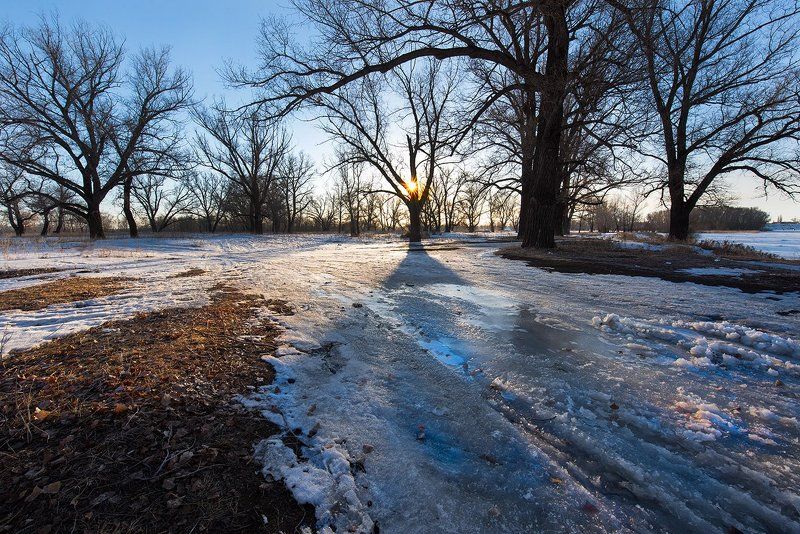 Весна в зауральной рощеphoto preview
