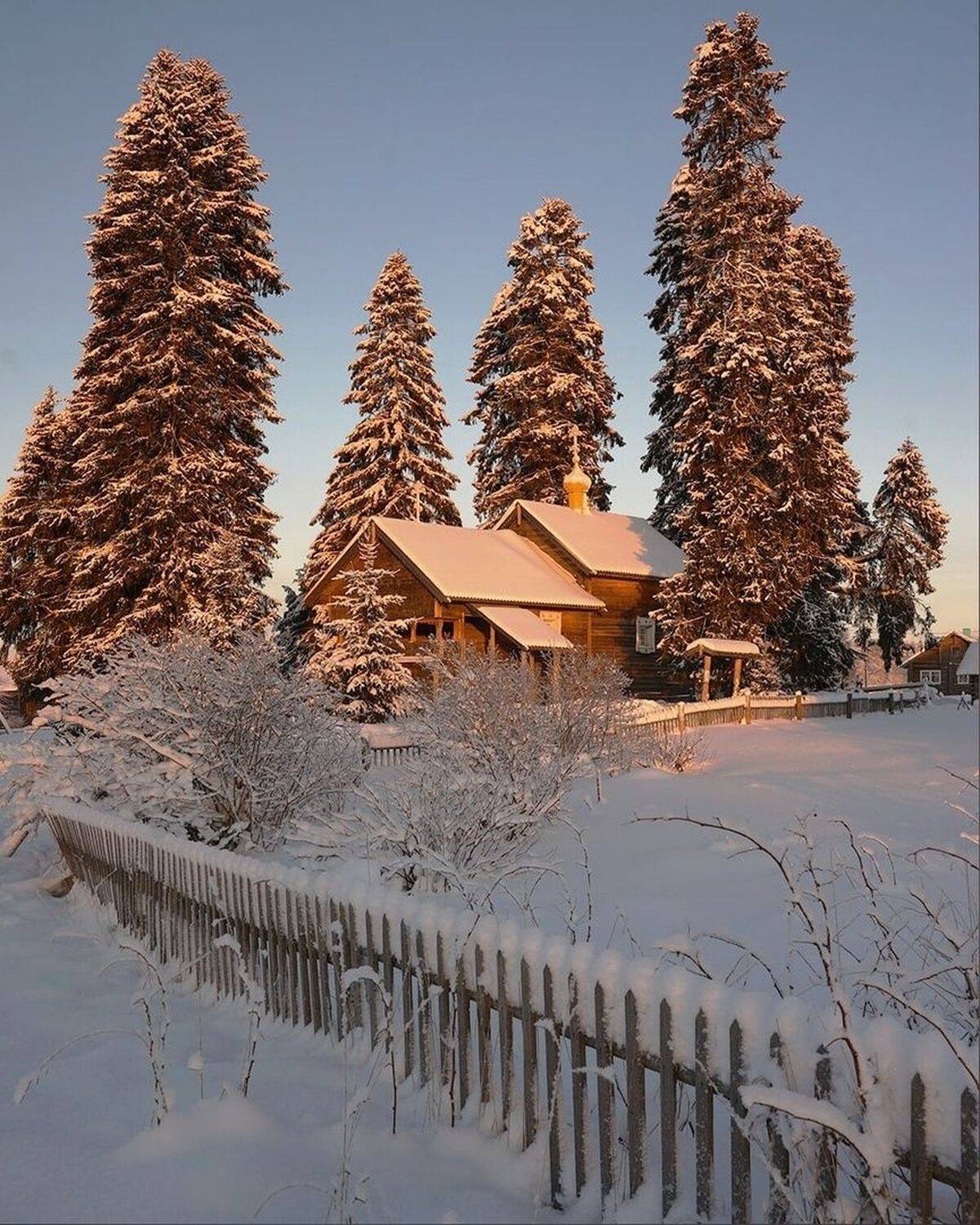 , Петр Косых