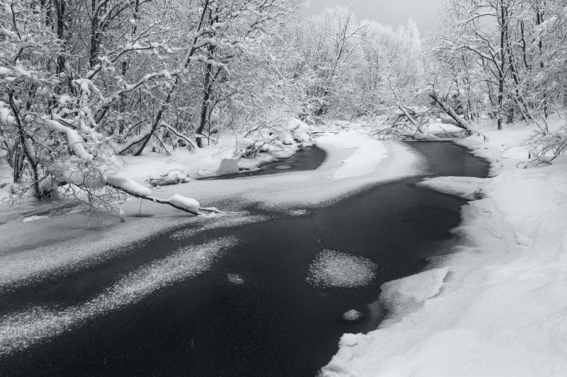 Черная рекаphoto preview