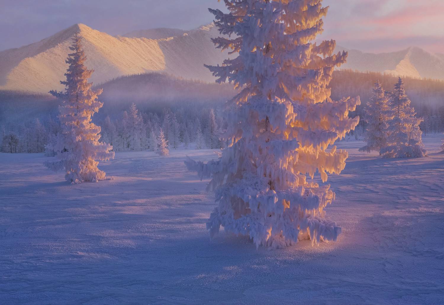 Фототуры с Владимиром Рябковым, #topnature #russpasibo #magic_shots #lovelyRussia #sunset_vision #exclusive_sky  #exclusive_shots #loves_russia2 #photoarena_nature #nature_sultans #nature_perfection #rsa_sky #rsa_sunset #photorussia #rsa_naturepics #sunse, Владимир Рябков